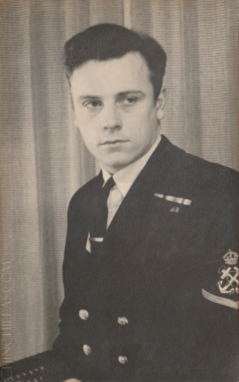 violet chinchilla origin africa gillingham sullivan british warship WW2